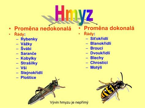 proměna dokonalá a nedokonalá rozdíl|Hmyz s proměnou dokonalou – Procvičování online – Umíme fakta